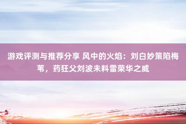 游戏评测与推荐分享 风中的火焰：刘白妙策陷梅苇，药狂父刘波未料雷荣华之威